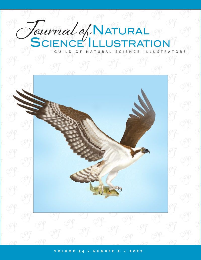 Journal of Natural Science Illustration Vol. 54 No. 2 - Cover art