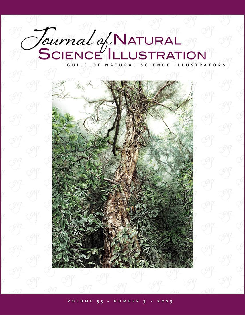 Cover image:
A strangler fig reaching up for the sun (from Hidden Kingdom:
Fantastical Plants of the Western Ghats) © 2023 Nirupa Rao