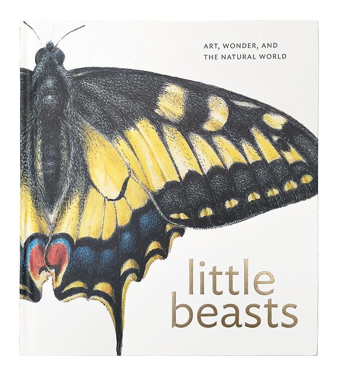 Book cover Art - Little Beasts: Art, Wonder, and the Natural World