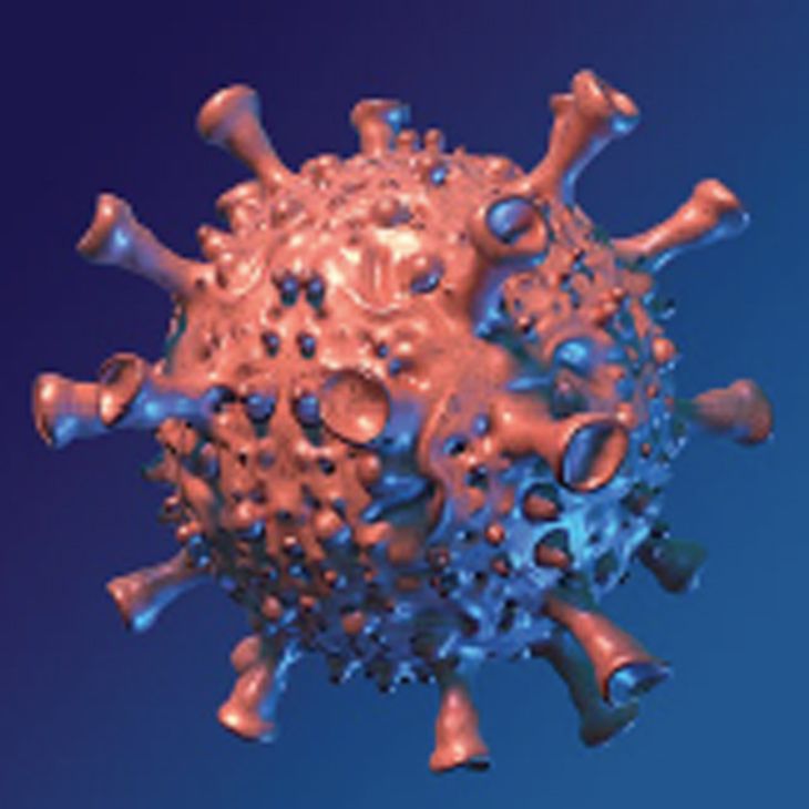 Figure 5: Generic COVID #2. Another example
of a virus image © 2020
Chuck Carter