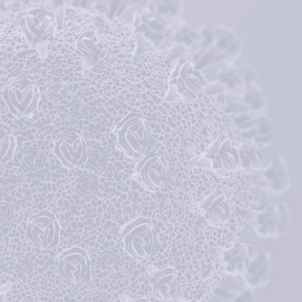 Figure 4: Still image from a
walk cycle, side view. Quinn Burrell © 2020