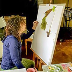 Wendy Hollender