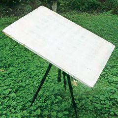 Easel photo by Marlene Hill Donnelly
for survey participants.