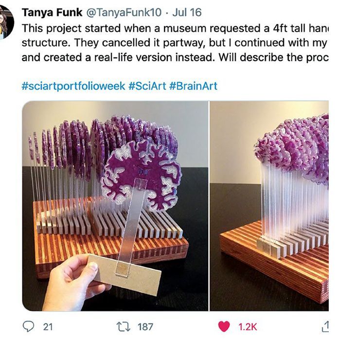 igure 2: Our online portfolio sharing took the form of a Tweetstorm with the hashtag #sciartportfolioweek. It was a resounding success, as evidenced by this single tweet by Tatiana Funk
that received 1,228 likes. Photos © Tatiana Funk