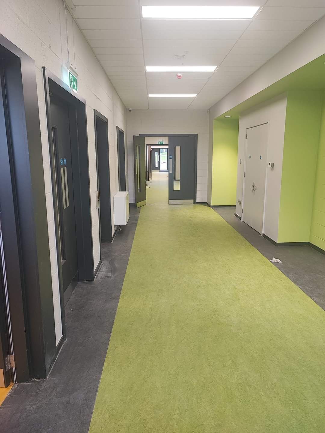 A long hallway with green carpet and black doors in a building.