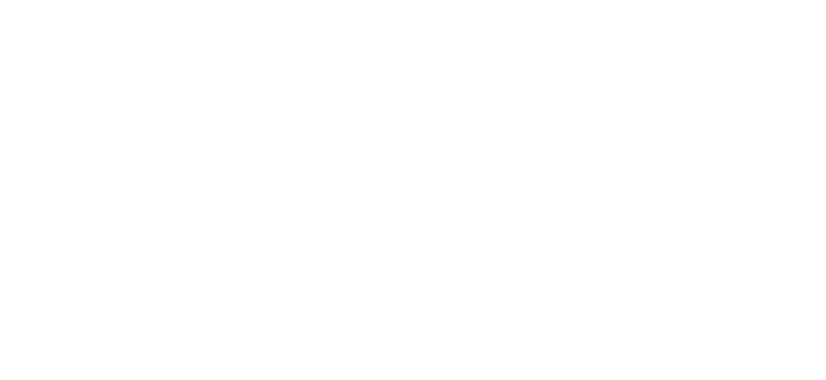 google review
