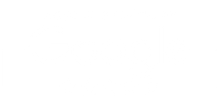 google review