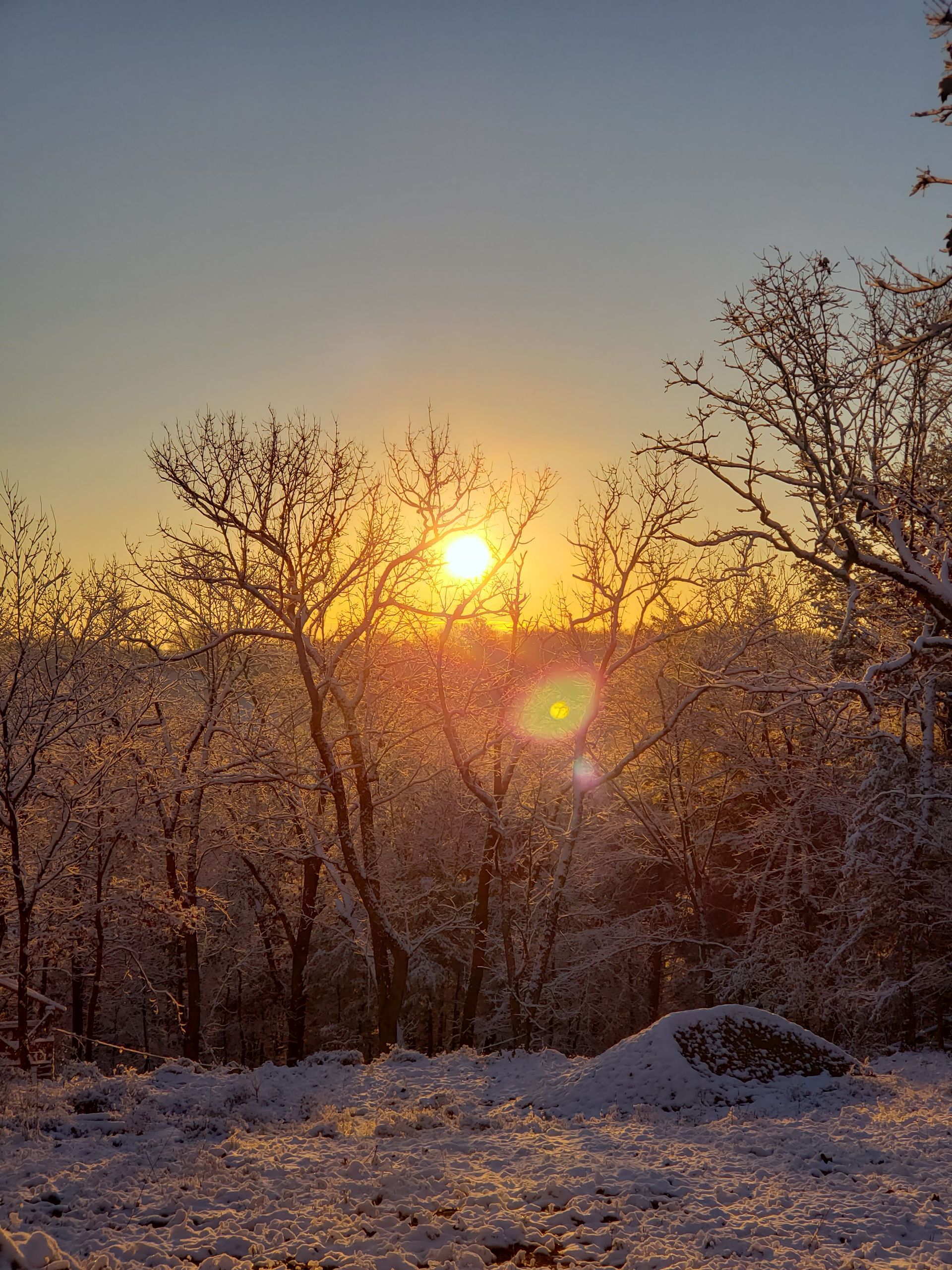 Sun setting over a snowy field and bare trees, with warm golden light and lens flare.
