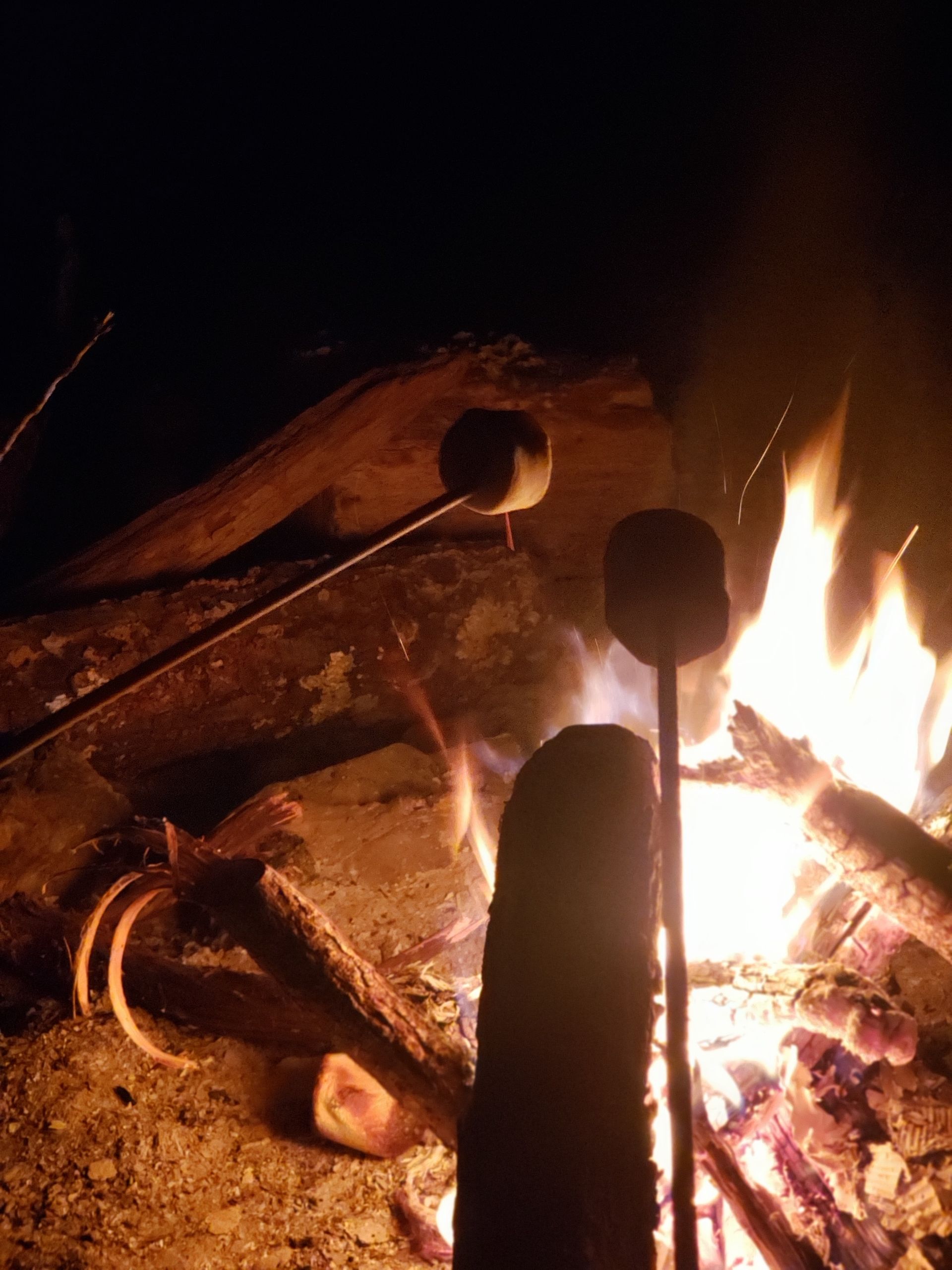 Marshmallows roasting over a glowing campfire at night