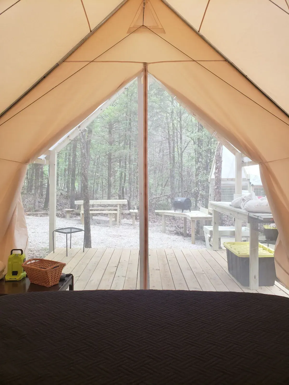 Inside a beige tent, a mesh door opens to a misty forest campsite with deck chairs and picnic tables.