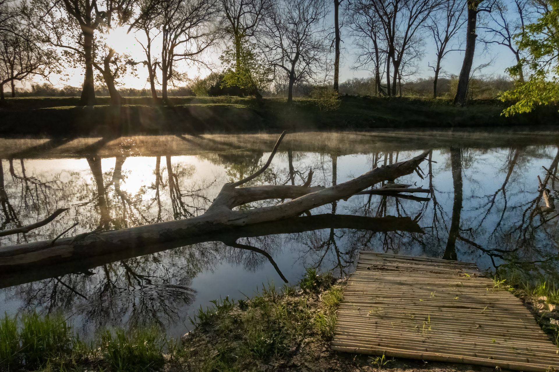 Calm river with fallen tree reflections and a wooden dock at sunset