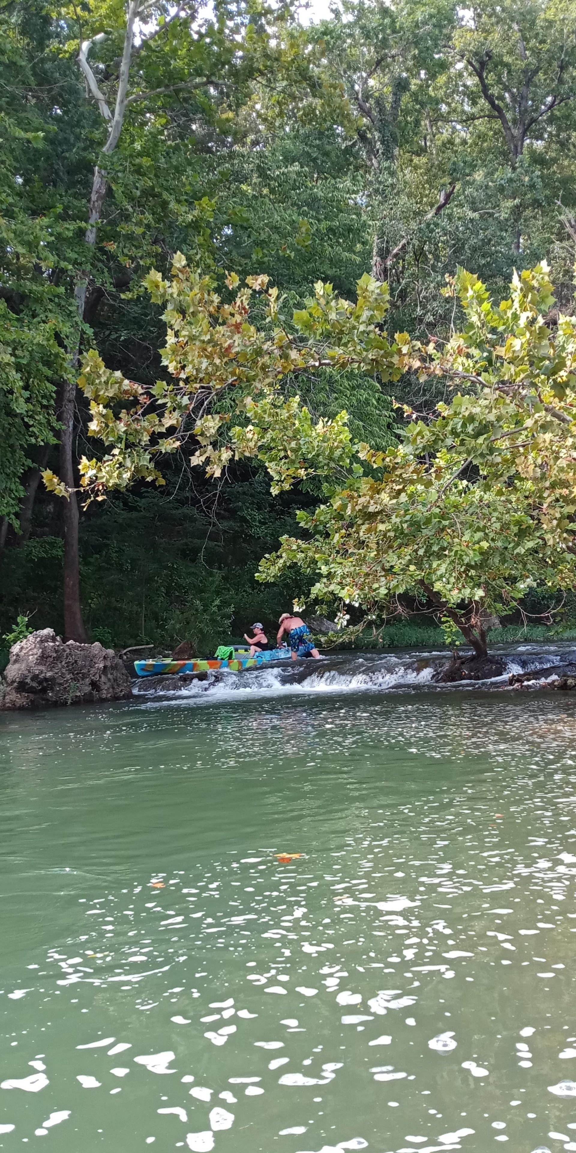People kayaking on a calm green river beside dense trees and overhanging branches