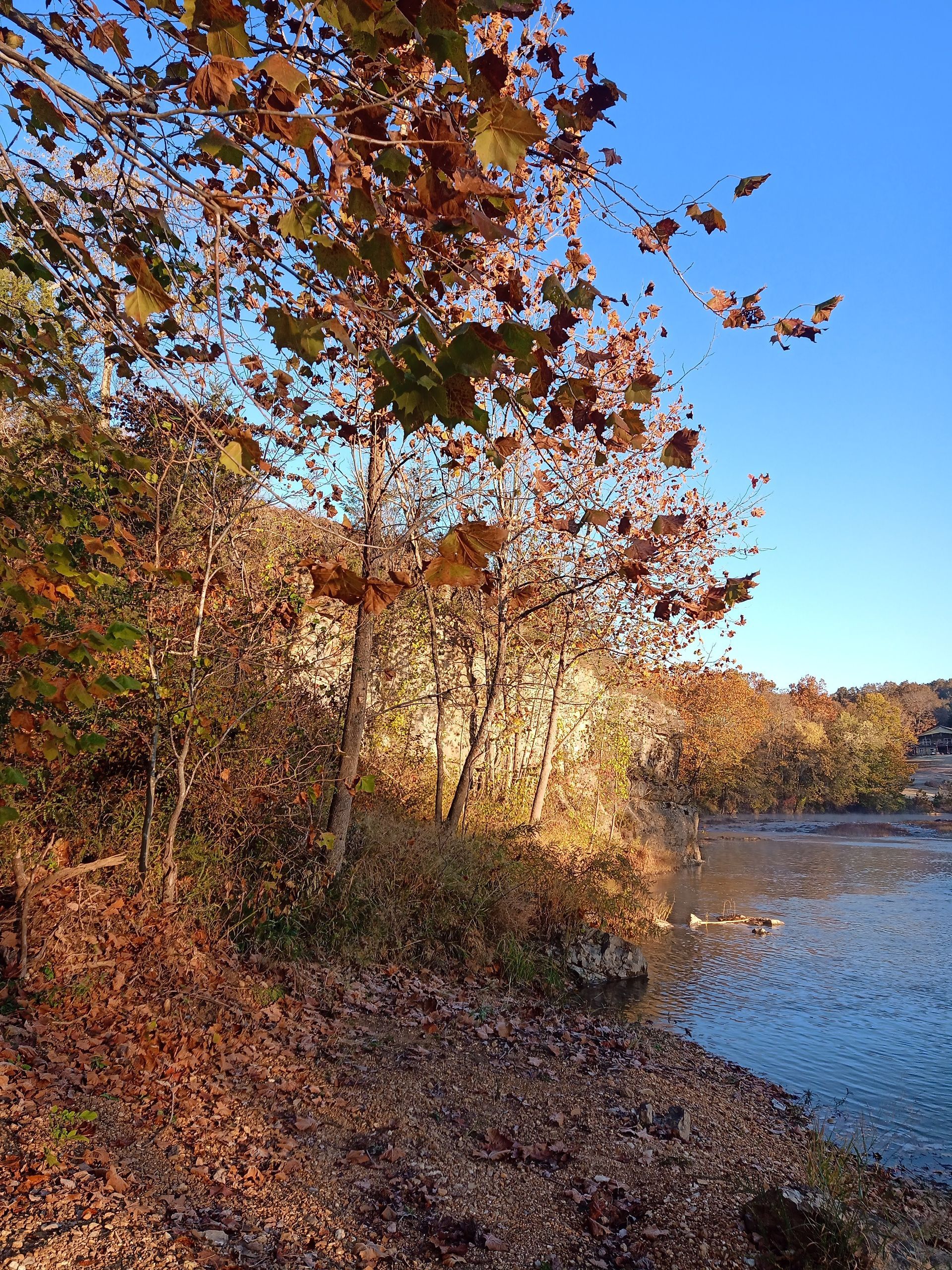 Autumn trees and brush along a rocky lakeshore under a clear blue sky