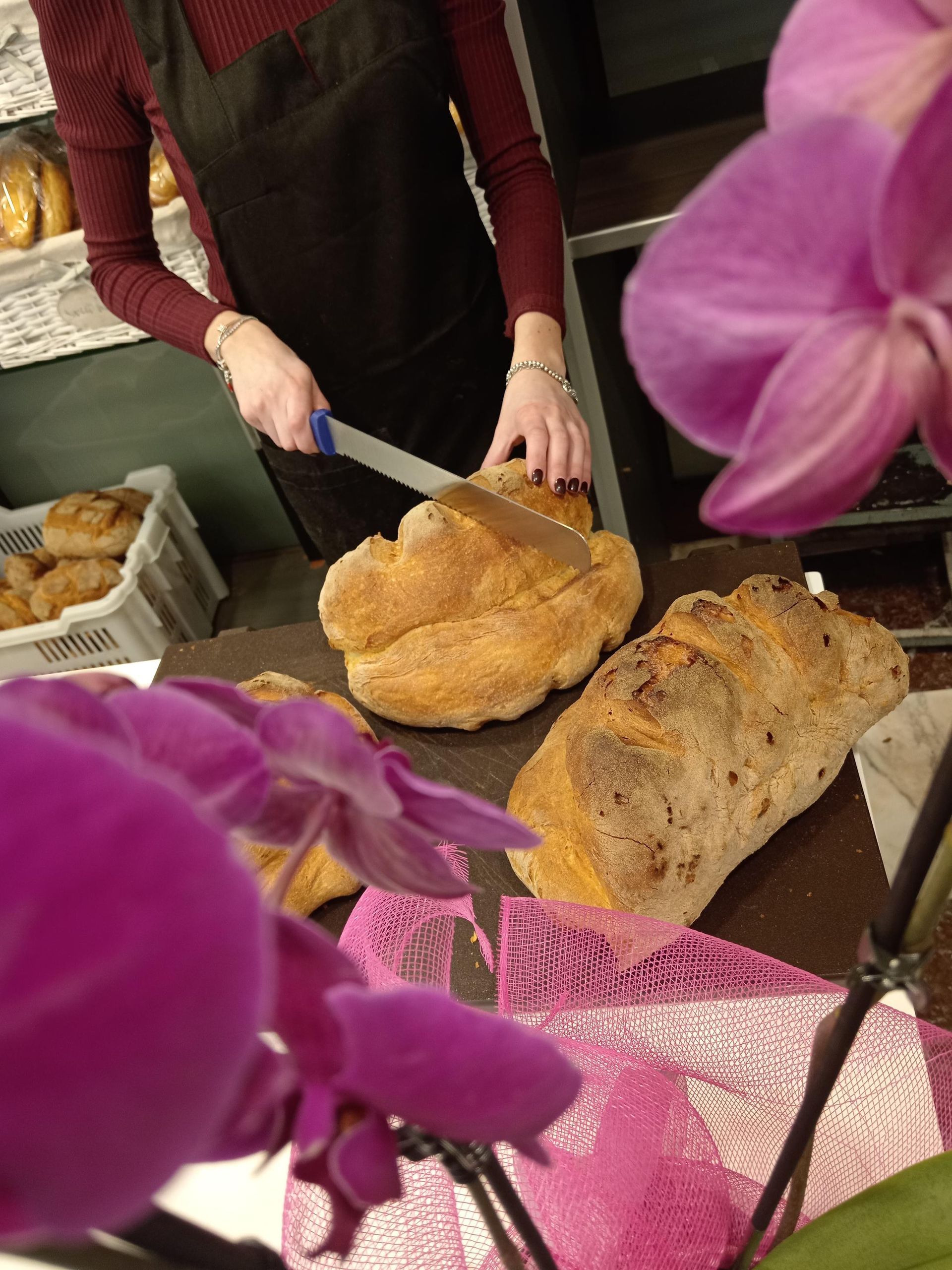 pane di matera