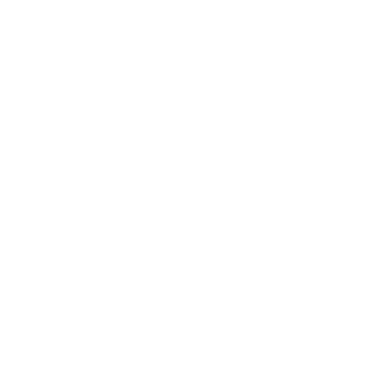 Phone Icon