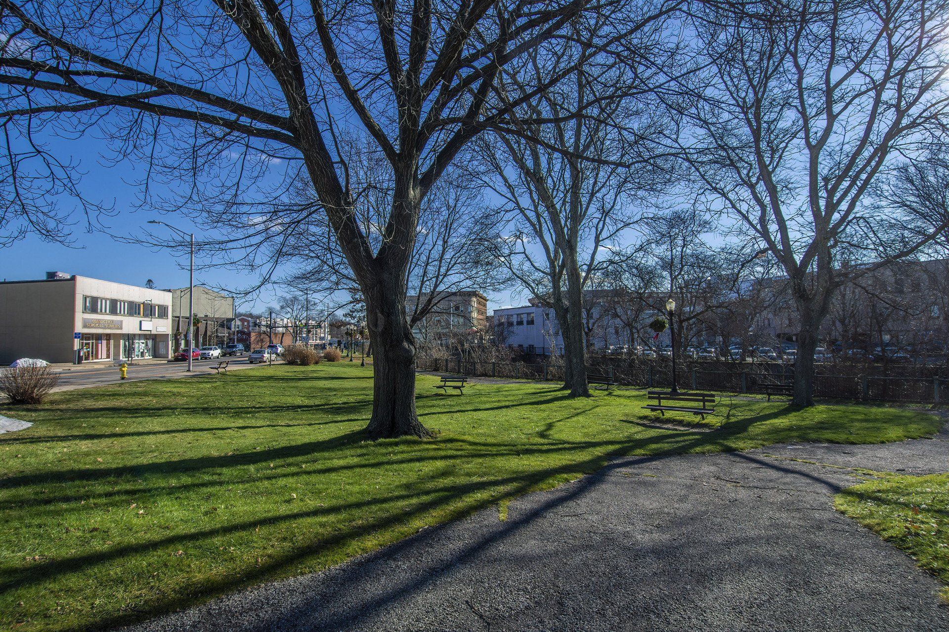 A grassy park with bare trees, a gravel path in the foreground, and a commercial building on a street in the background.