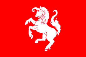 Rode vlag met een wit steigerend paard.