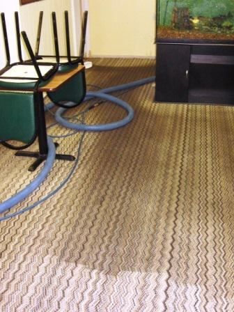 Carpet being cleaned in a room with an overturned green chair and a fish tank. Blue hose visible.