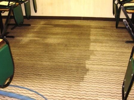 Carpeted floor partially cleaned, surrounded by chairs. Brown carpet with a visible cleaning line.