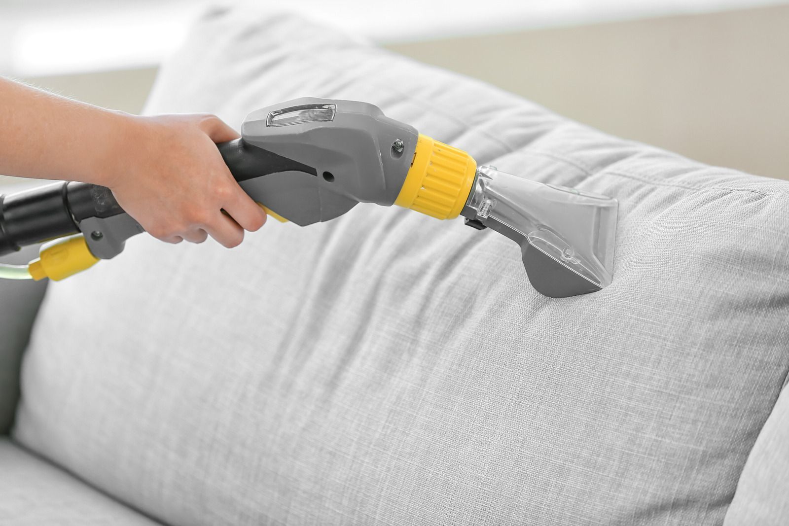 Person using a carpet cleaner on a light gray sofa cushion.