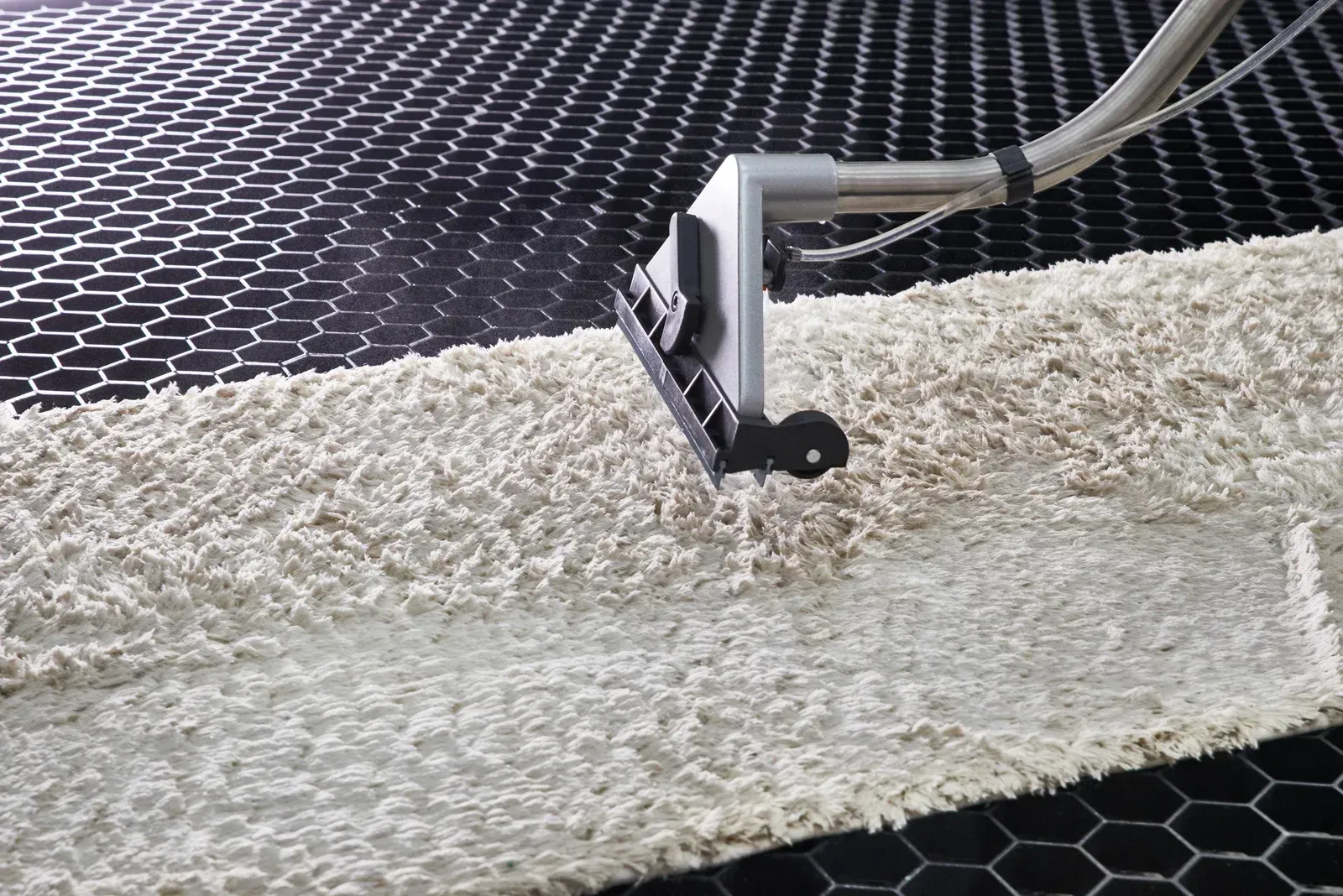 Carpet being cleaned with a professional machine; a gray nozzle is shown on a light beige carpet.