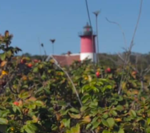 Stories from Eastham, MA