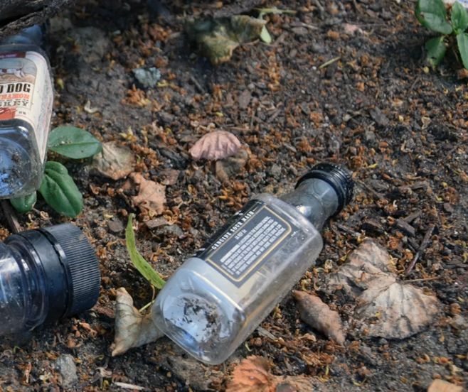 nip bottles