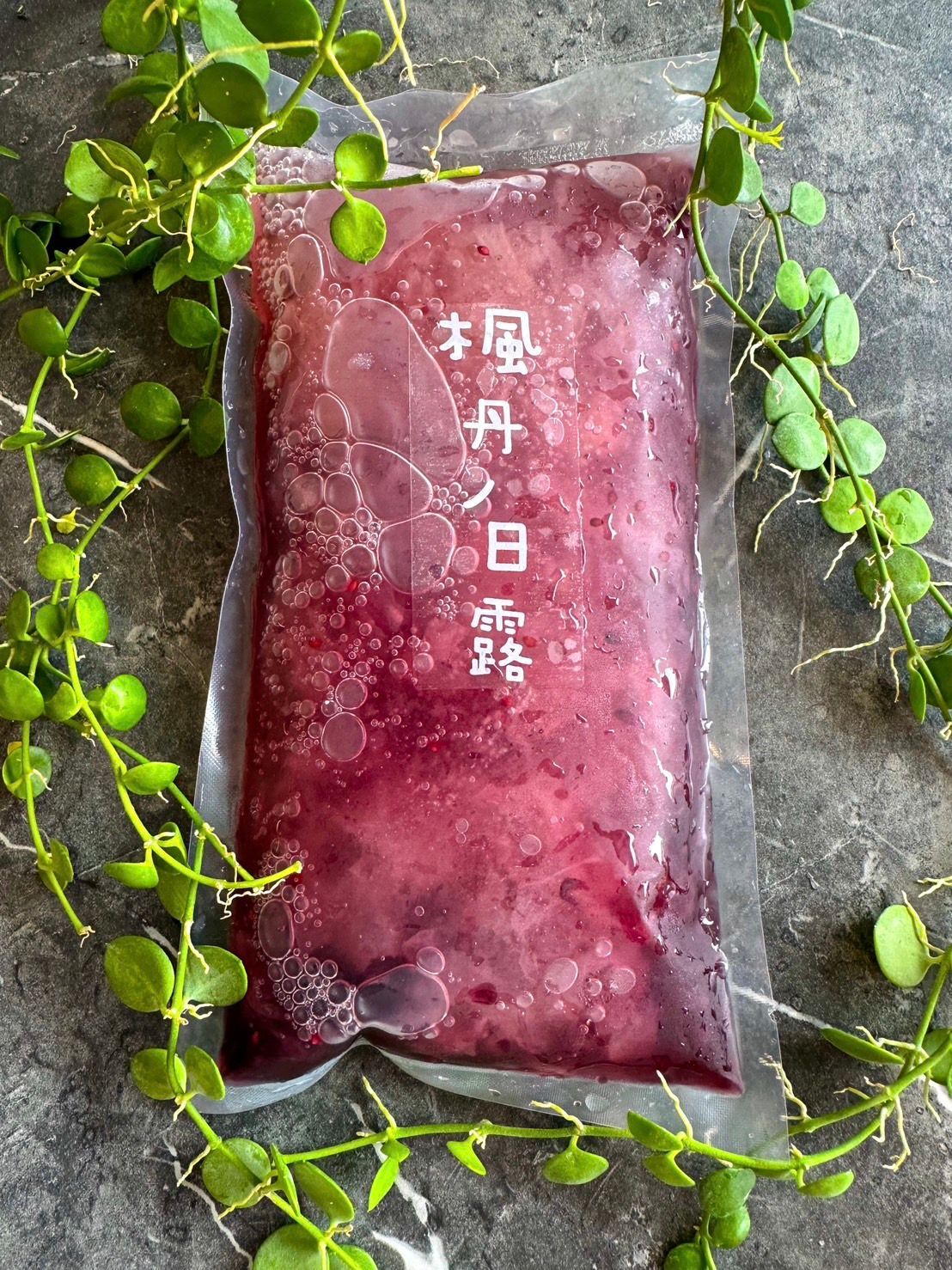 膠原桑椹白木耳露12包免運組