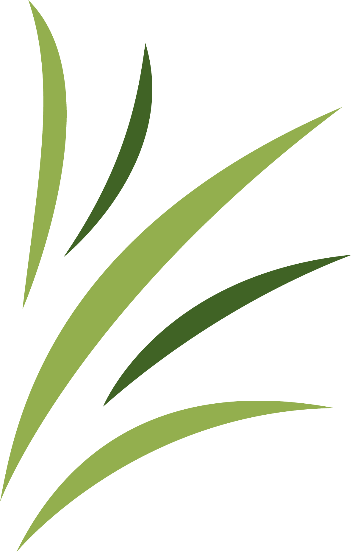 A drawing of three green leaves on a white background.