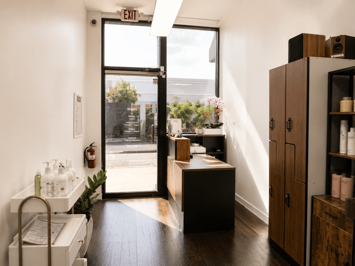 Bright, narrow shop interior with front glass door, counter, and wooden shelves near the entrance.