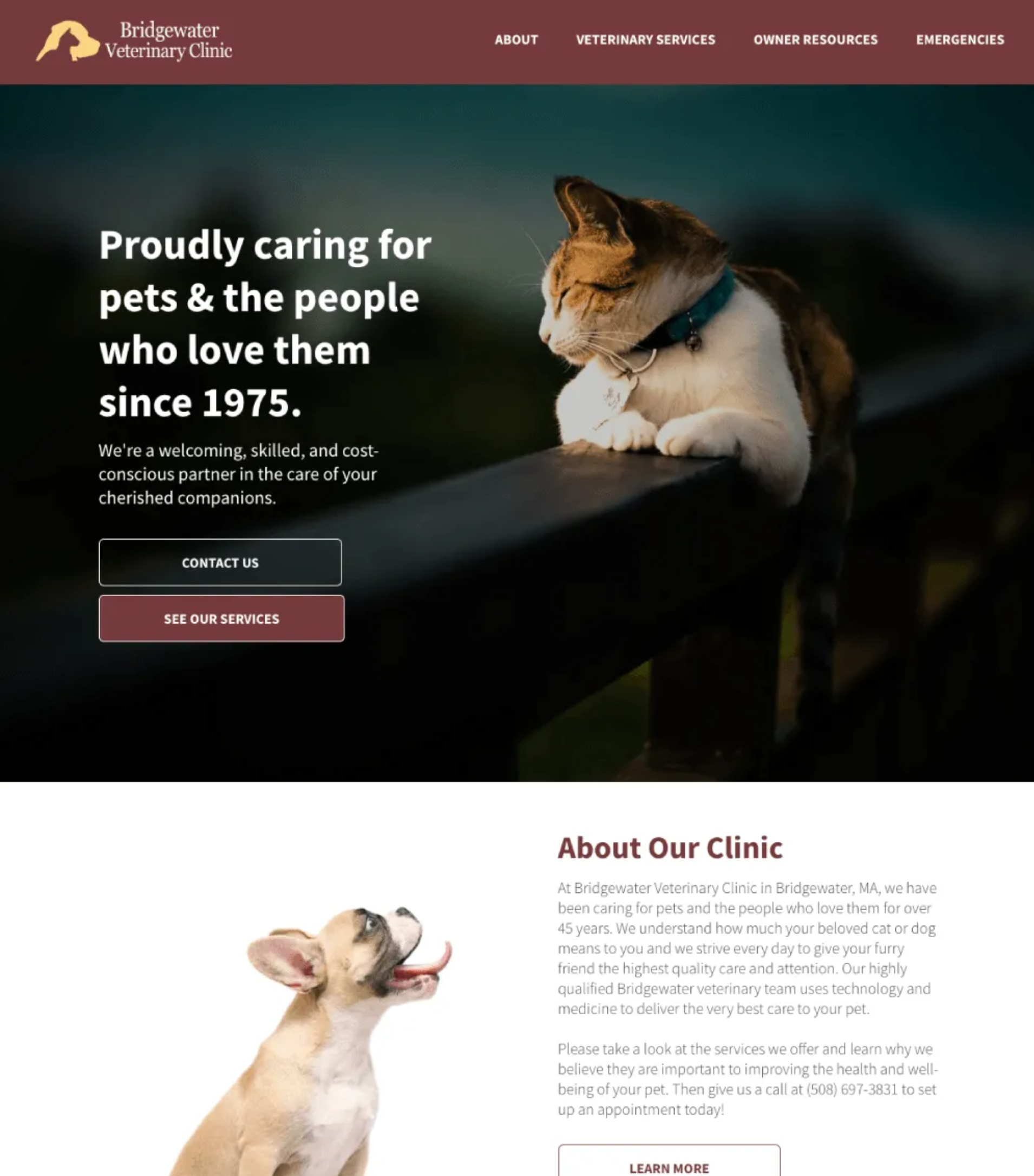 business website design
