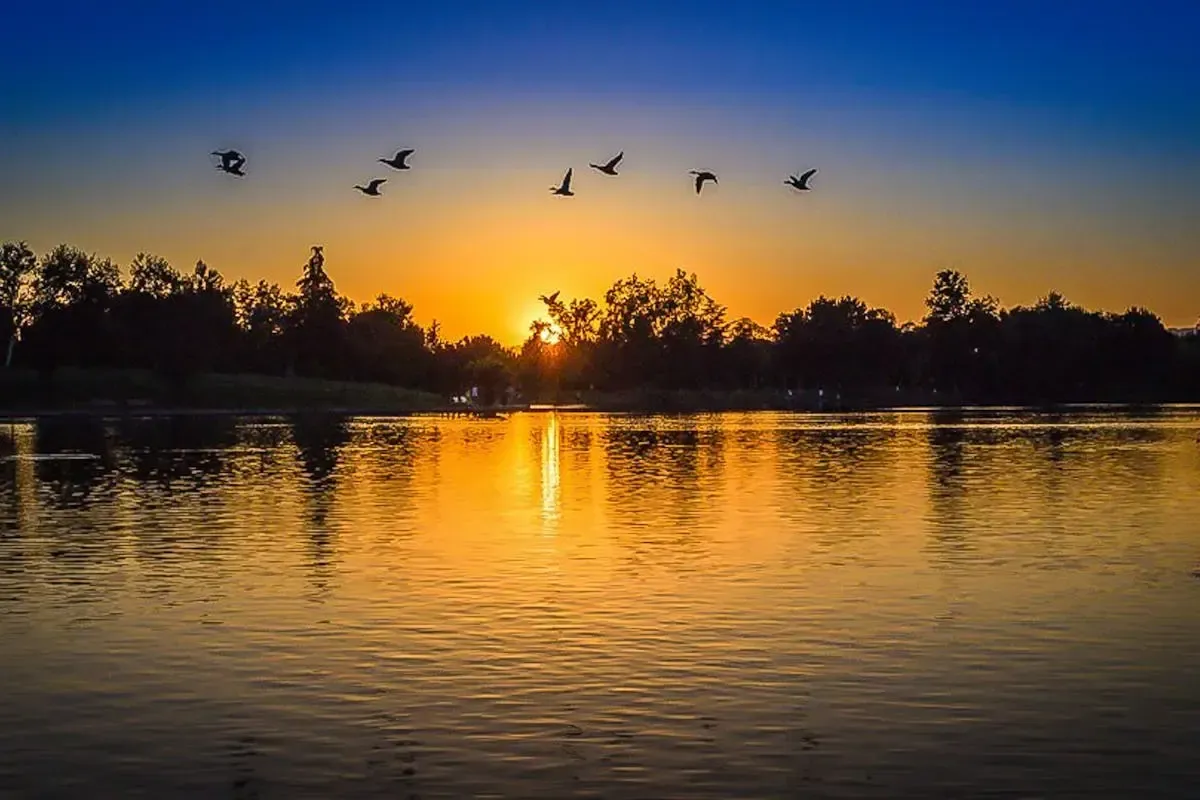 Sunset over Lake Murray South Carolina Sunset over Lake Murray South Carolina as geese fly away.
