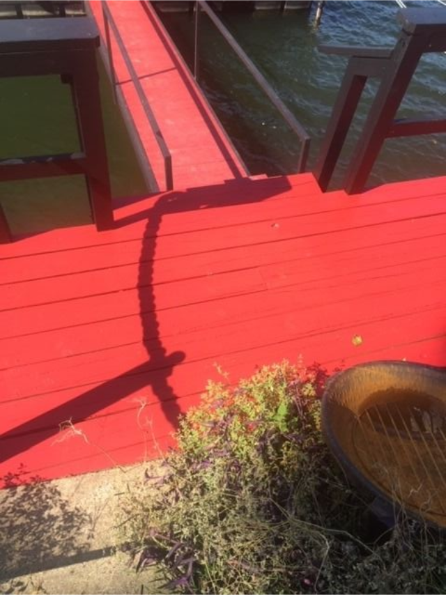 Red deck beside water with black railing, a brown chair, and a small plant in the foreground.