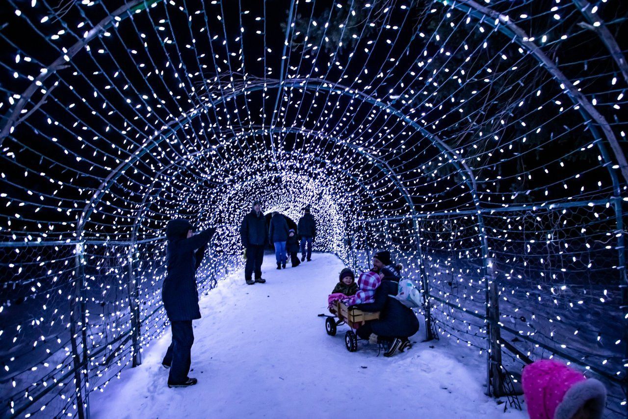Fargo's Frostival Celebration A snowy walkway covered by an arched tunnel of bright white fairy lights, with people walking through at night.