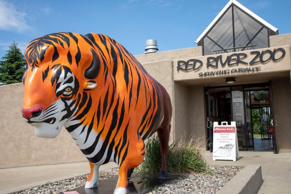 Red River Zoo in Fargo ND A bright orange and black tiger-striped bison statue stands outside the entrance to the Red River Zoo.
