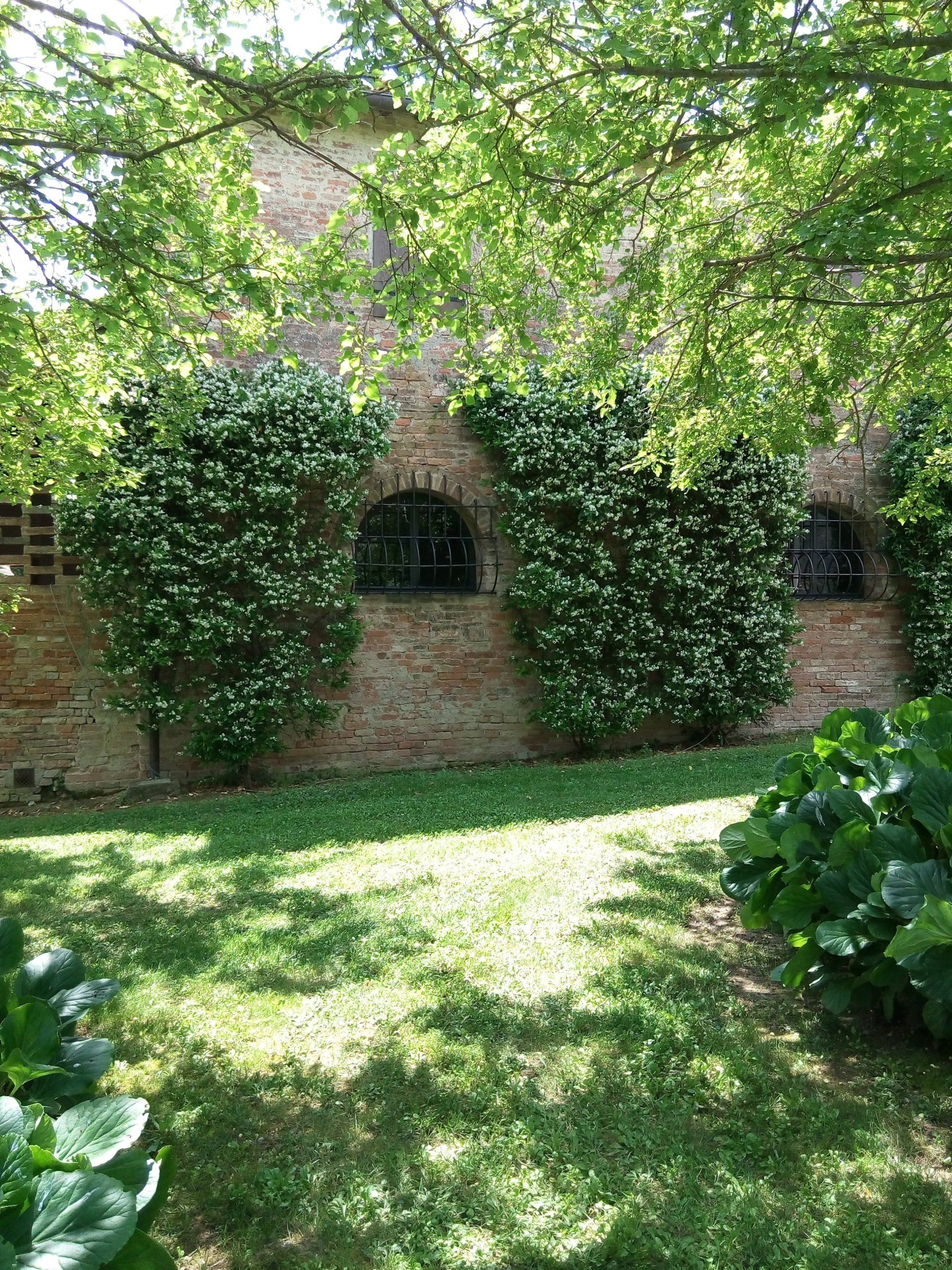 podere cartaio