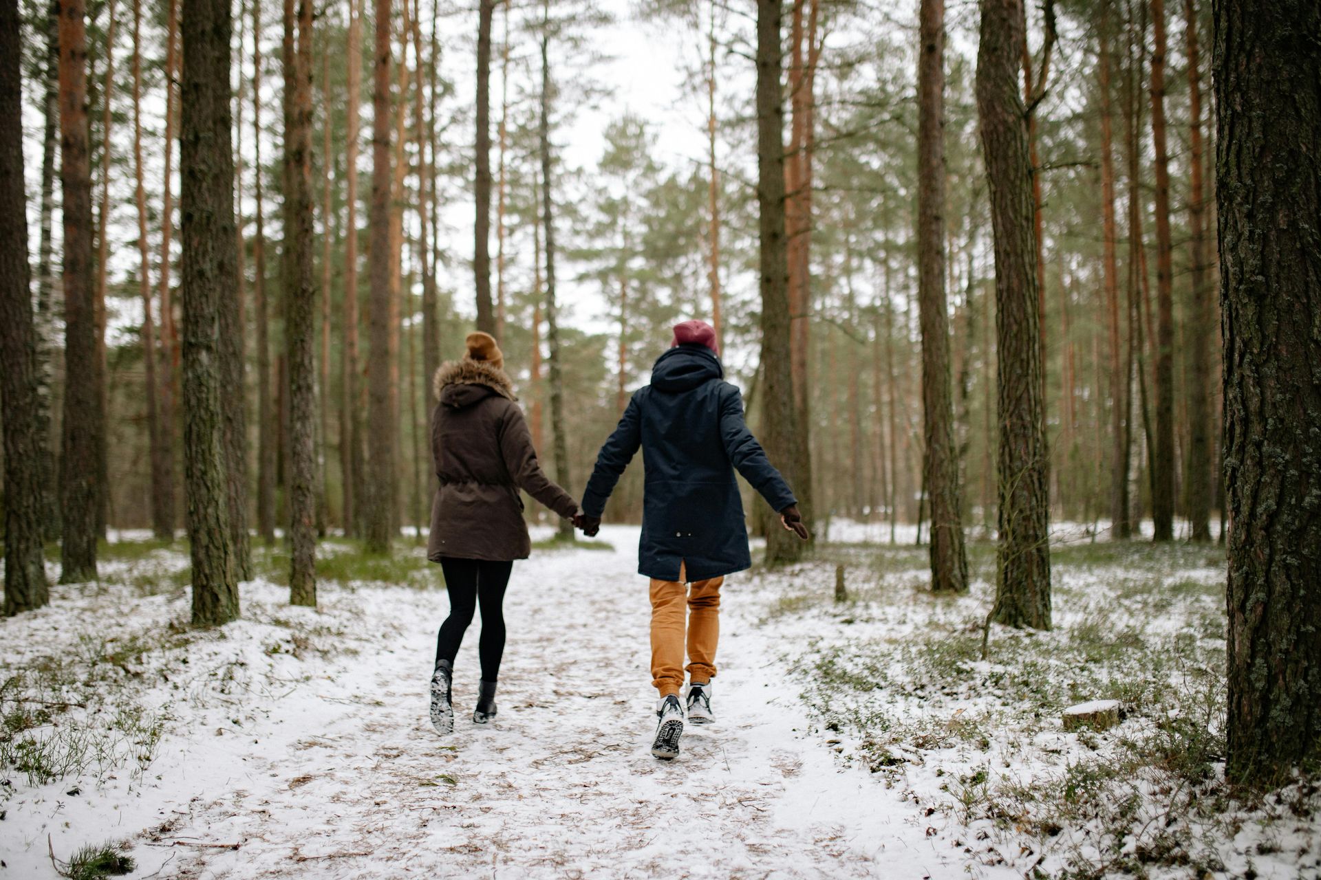 Couple holding hands, walking away on a snowy path through a forest. Trees surround them.