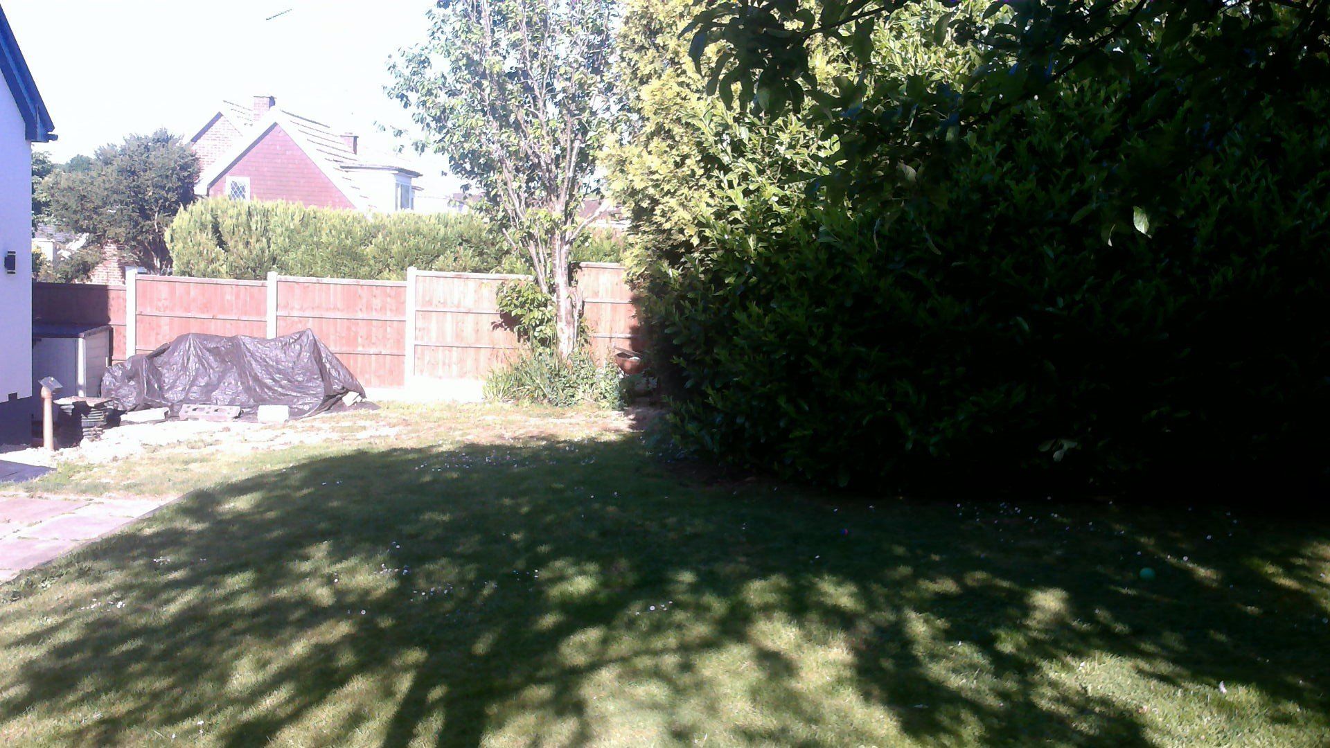 before Backyard with green grass, brown fence, trees, and partial view of houses under a sunny sky.