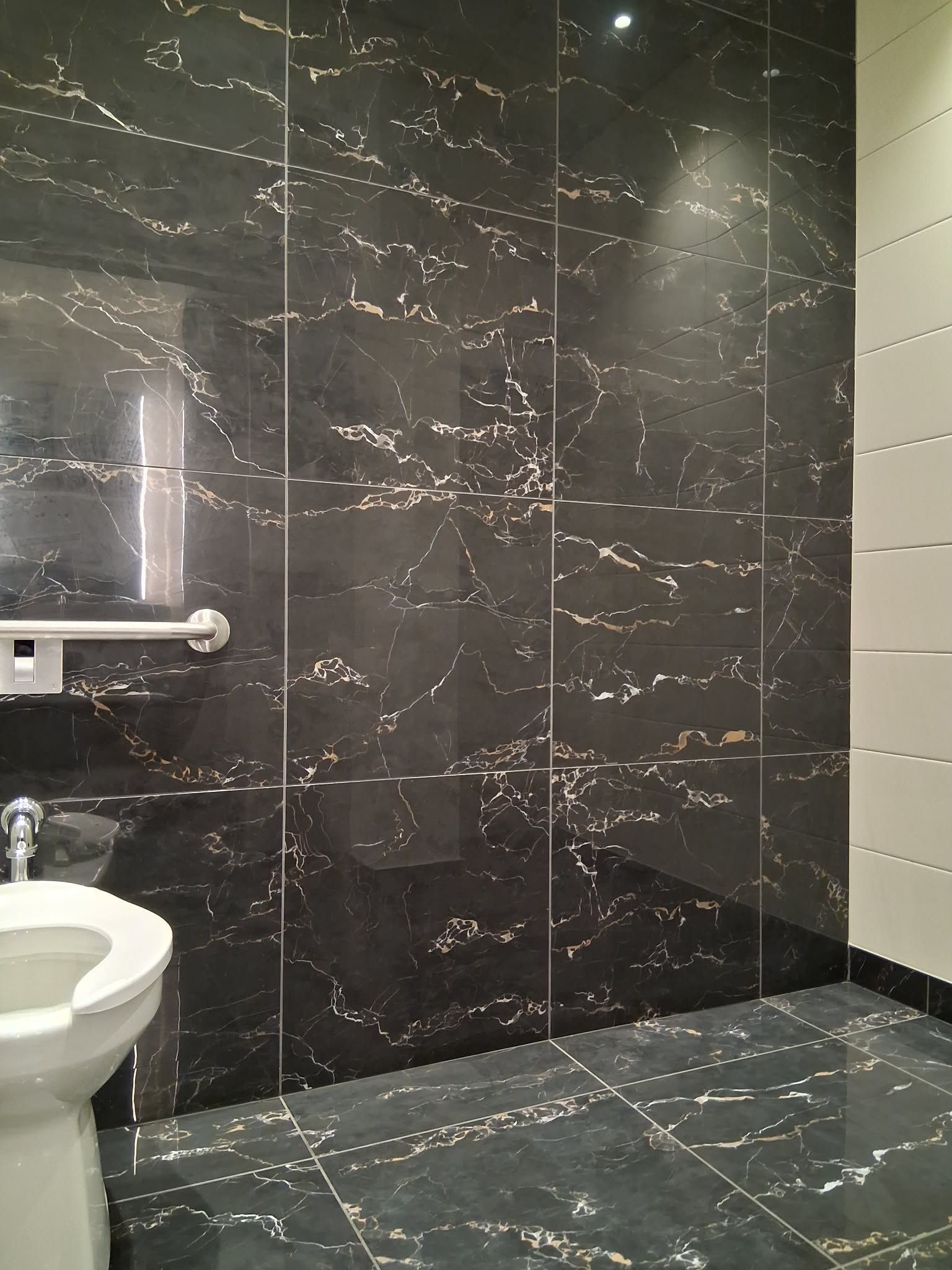 Toilettes carrelées en foncé. Murs et sol noirs veinés de blanc. Toilettes à gauche, barre d'appui visible.