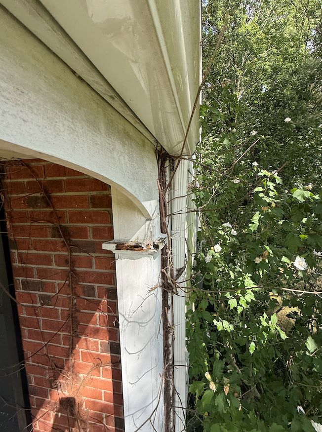Vines growing up the corner of a brick house near the eaves and a white architectural column.