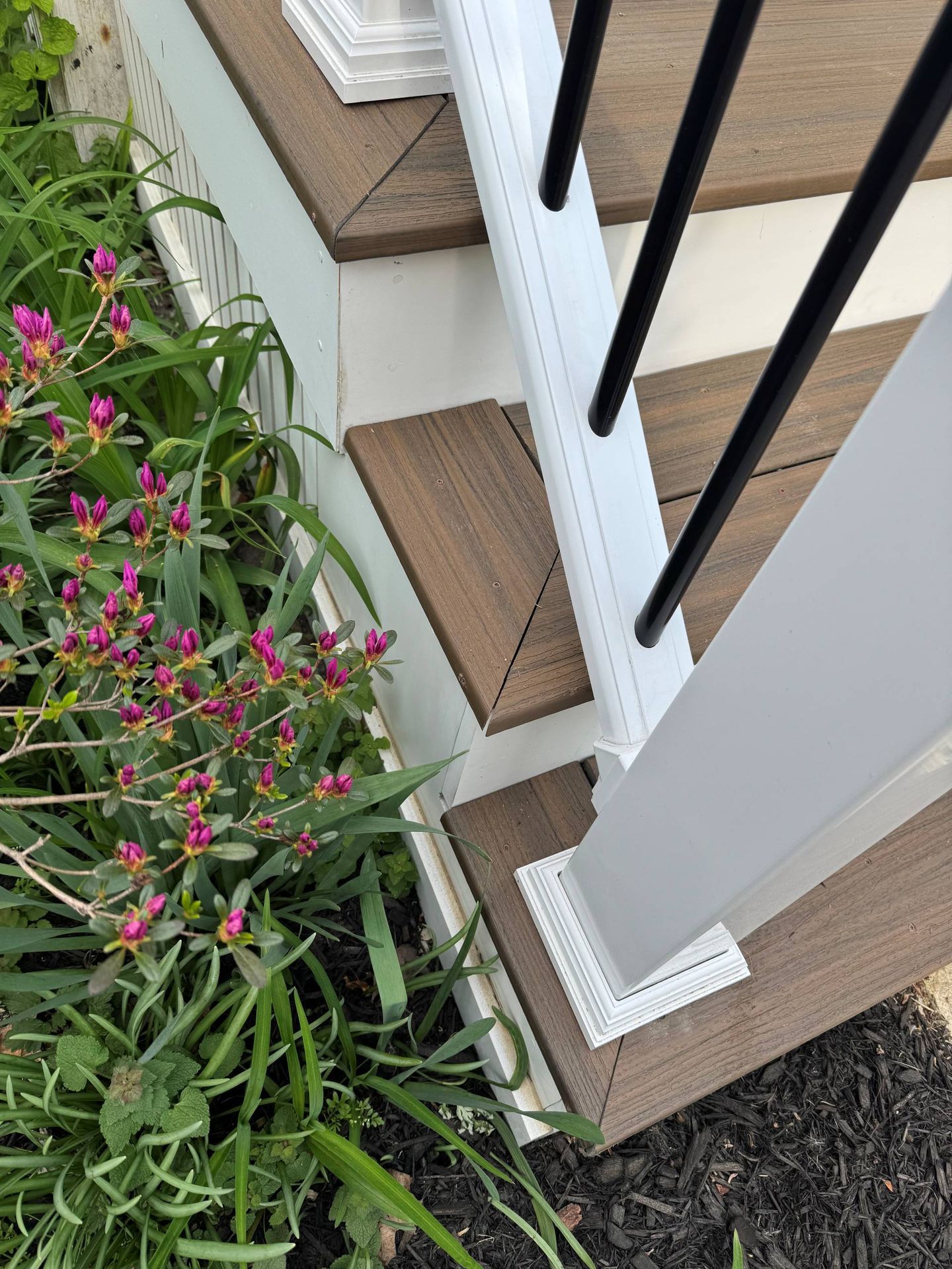 Close-up of wooden porch steps with white railings and black balusters, next to a blooming purple flower bed.