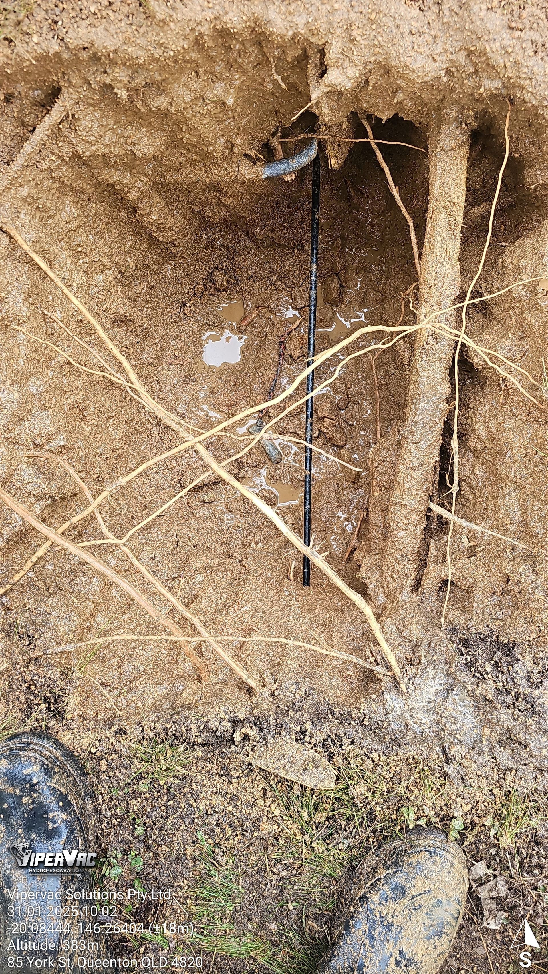Section of tree roots and surrounding soil, showing a black metal pipe — ViperVac Solutions PTY LTD in Cannonvale, QLD