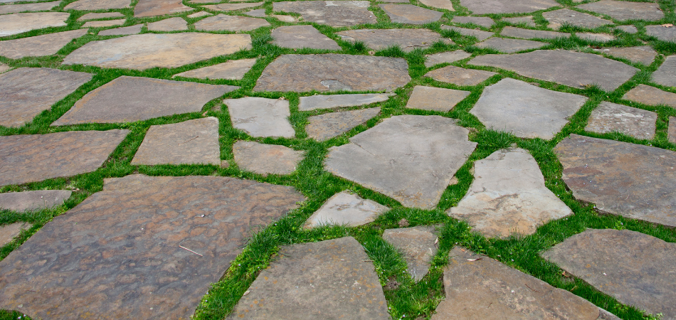 Stone pavers with green grass growing in between.