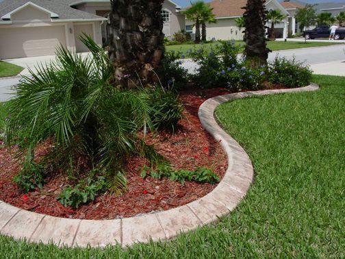 Landscaped yard with concrete edging, mulch, palm trees, and green grass.