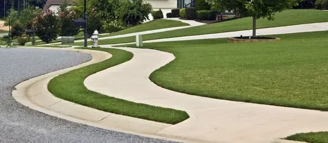 Curving concrete sidewalk lined with green grass, leading through a grassy yard in a suburban neighborhood.