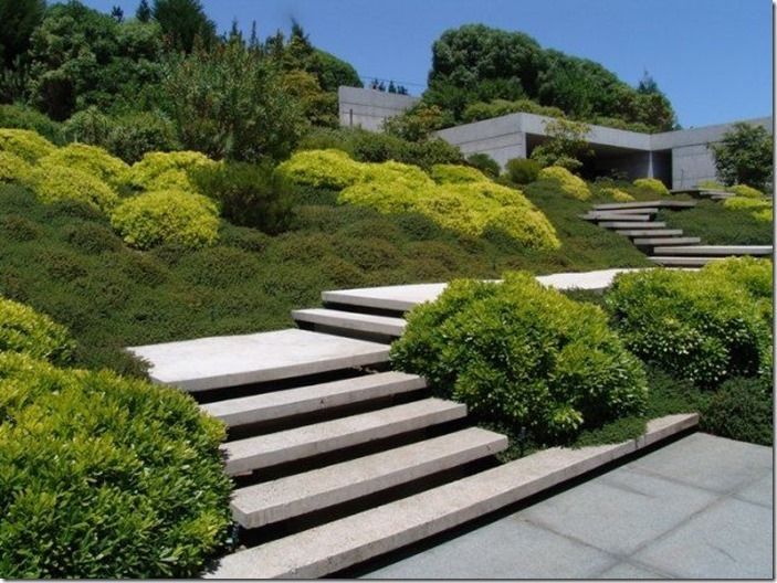 Concrete stairs ascend a hillside with tiered landscaping of green and yellow shrubs, leading to a modern building.