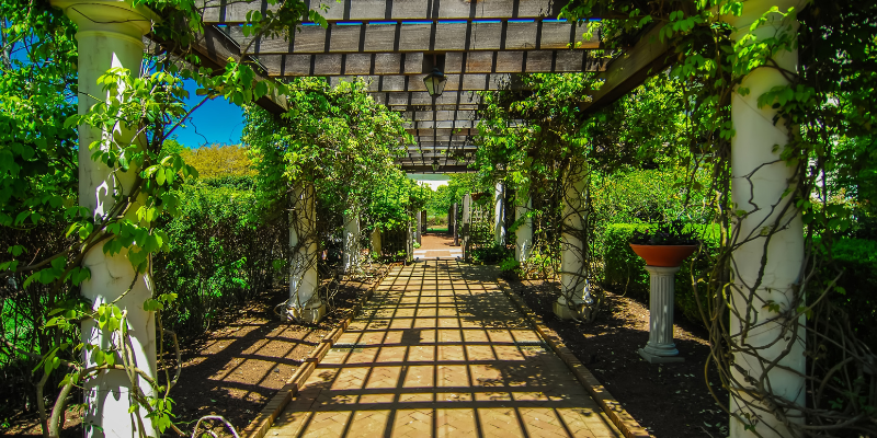 A shaded walkway with a wooden pergola, lush greenery, and dappled sunlight.