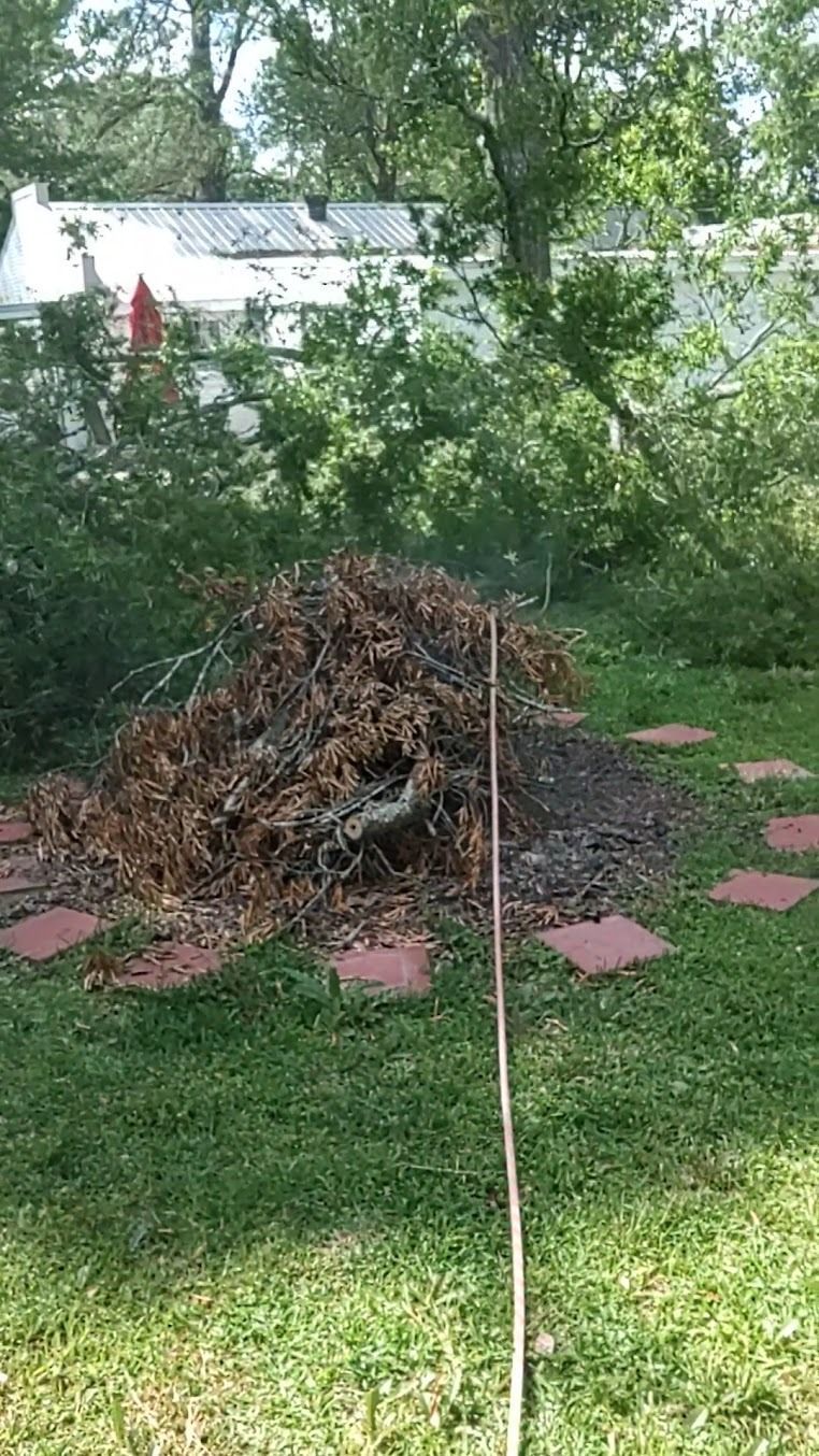 Backyard with a large brush pile, stepping stones, and a garden hose across the grass.
