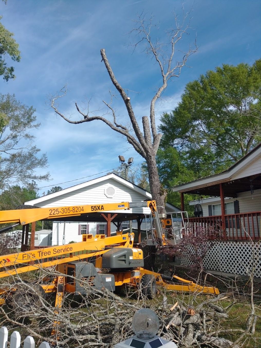 Yellow excavator clearing a fallen tree beside a house under a blue sky