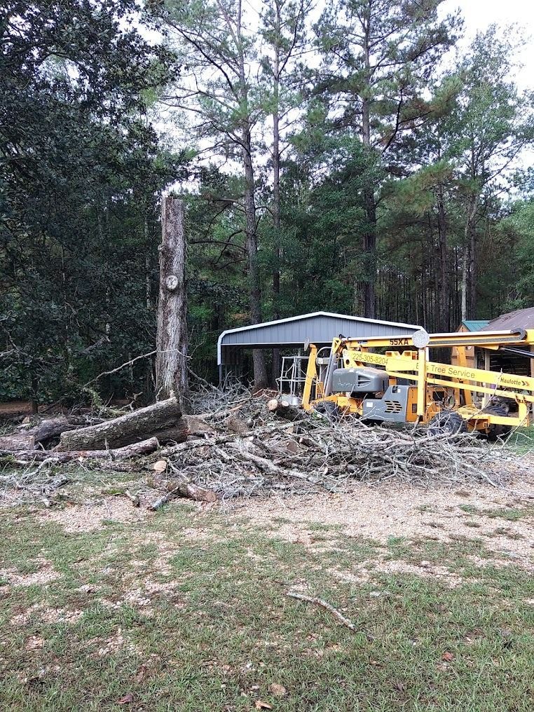 Storm-damaged yard with a broken tree, debris, and a yellow work trailer beside a shed